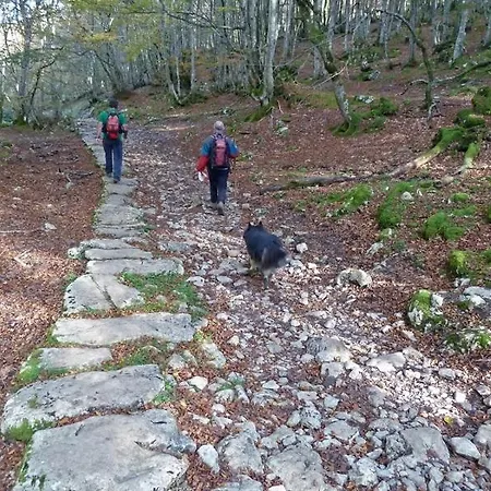 Casa Rural Eikolara Landetxea 2* Zalduendo de Álava