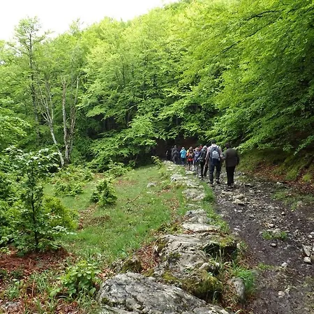 Casa Rural Eikolara Landetxea